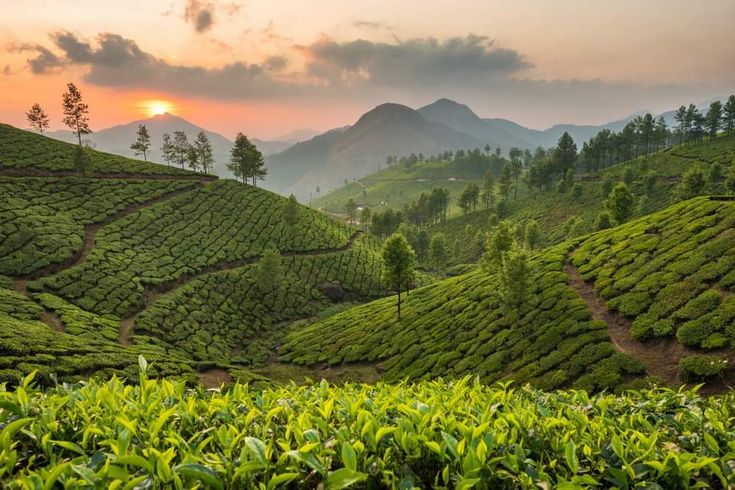 Tamil Nadu Signature Journey