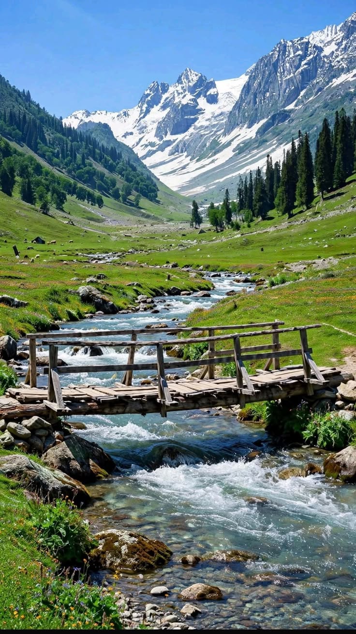 Kashmir Valley Escape