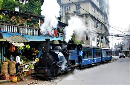 Darjeeling Himalayan Tea Garden & Scenic Sightseeing Experience