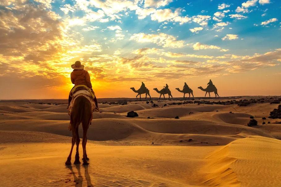 Sunset Camel Safari
