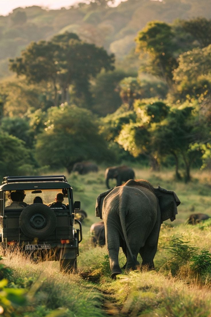 Tadoba-Andhari Tiger Reserve